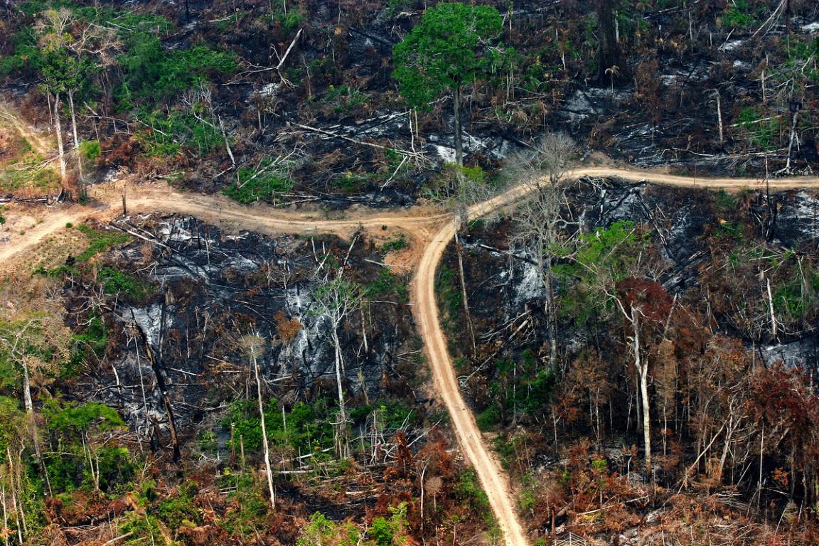 Estradas ilegais em áreas da Floresta Nacional do Jamanxim recém queimadas. Unidade sobre com grilagem de terras. Foto: Daniel Beltra/Greenpeace.