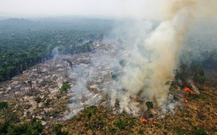 Floresta sendo destruída no Parque Nacional do Jamanxim, área agora ameaçada por parlamentares | Araquém Alcântara / Greenpeace