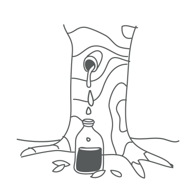 Copaíba