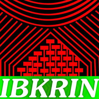 Associação Instituto Bepotire Xikrin